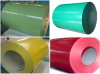 PPGL/Prepainted Galvalume Steel Coil