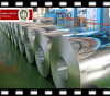 GI Sheet Coil