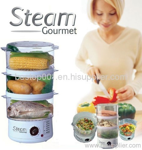 Steam Gourmet