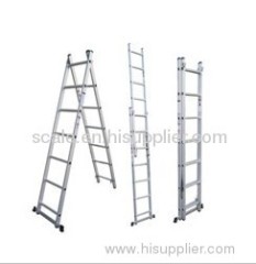 Extended Aluminium Ladder