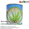 Crystal Sugar Aloe