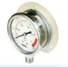 Bottom connection Liquid Filled Pressure Gauge with edge