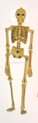 40CM Plastic Halloween Skeleton