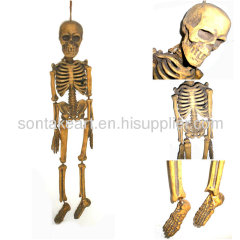 Halloween skulls party supplies--70CM Halloween Skeleton