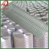 1/4 inch galvanized welded wire mesh