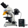 XY optical fluorescence microscope