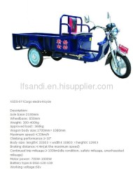 1100W cargo electric tricycle