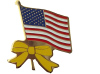 military flag pin badge
