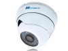 700tvl 1/3&quot; SONY Exview HAD CCD II vandalproof dome security camera with OSD menu (NE-219C)