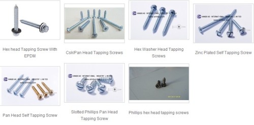 Self Tapping Screw