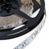 IP20 36W 150LEDs SMD5050 LED Strip