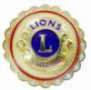 Souvenir Lions logo metal pin badges, with filling colors and gold finish and yellow ropes