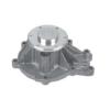 Man truck water pump 51065007079, 51065009079 51065006651, 51065006587