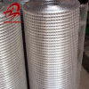 stainless steel Welded Wire Mesh(factory)