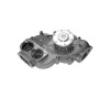 Man truck water pump 51065006426, 51065009426 51065006490, 51065009490