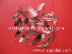 Washed grey duck feather