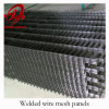 welded wire mesh panel(factory,low price, high quality)