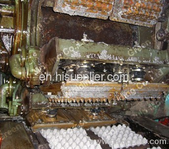 pulp moulding machinery/pulp molding machine