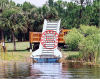 The shore aquatic plants conveyor