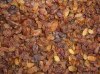 Sultana raisin AAA Grade Xinjiang origin