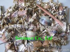 Dried shrimp, crab shell