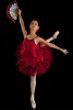 ballet tutu,dancewear,belly tutu,dance dress,dance skirts,stage wear