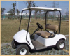 2 Seats Electric Golf Cart