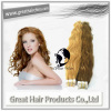 Remy Human Hair Skin Weft (GH-SW015)