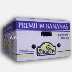 Corrugated Cardboard Fruit Packaging Carton 