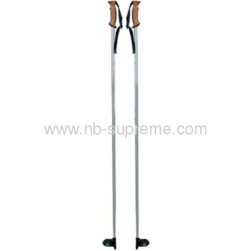 Carbon fabric two section hiking stick