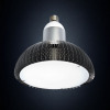 E40 LED globe bulbs