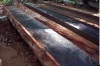 ebony wood, sawn logs and timber