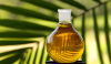 Sunflower Oil, Rapeseed Oil, Corn Oil, Palm Oil, Soybeans Oil