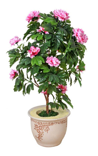 artificial flower bonsai 05