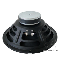 10 inch GITA Speaker / Guitar Speaker