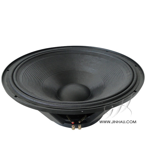 21 inches PA Speaker / Woofer / LF Driver