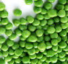 FROZEN GREEN PEAS IQF GREEN PEAS GREEN PEAS