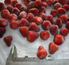 FROZEN STRAWBERRY FROZEN FRRUIT