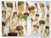 Fresh Kind Bolete Whole Mushroom-Grade A (4-6CM) 111103