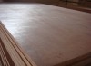 Commercial Poplar Core 7 Ply Plywood
