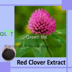 Red Clover Extract isoflavones