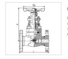 gate valves