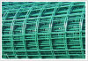 Welded wire mesh (Anping)-PVC coated