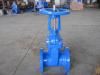 Cast Iron rising stem gate valve