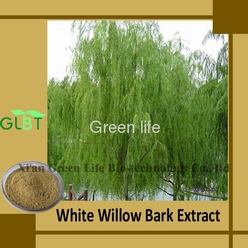 White Willow Bark Extract