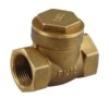 brass check valve with filter