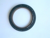 BMW/RENAULT/NISSAN Crankshaft Seal 20032405B