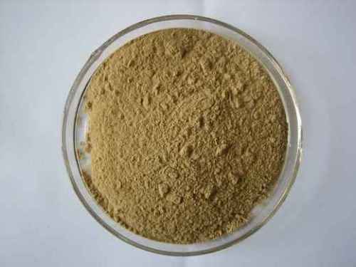 Tribulus Terrestris Extract