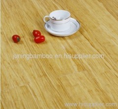 Natural strand woven high gloss bamboos floor