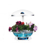 New office indoor potted flowers plant organic vegetables miniascape flower basket